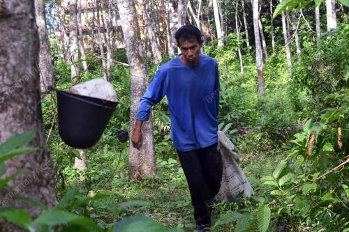 TINJAUAN CUACA SEMASA