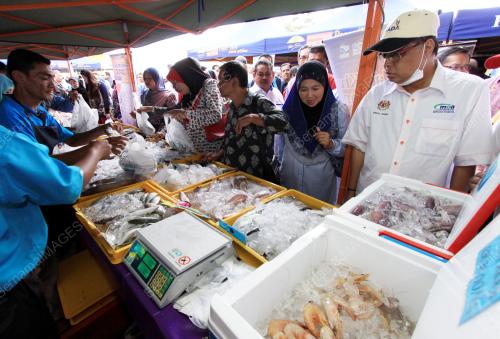 KB07_19012015_HARGA_PASAR