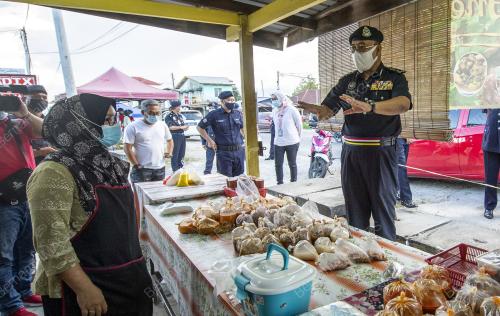 DATUK SHAFIEN MAMAT
