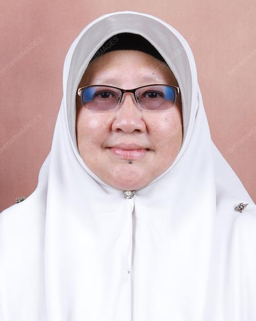 ROHANI IBRAHIM 