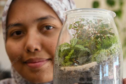 TERRARIUM HIASAN