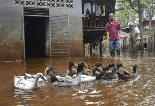 BANJIR GENANG DI KAMPUNG TERSANG