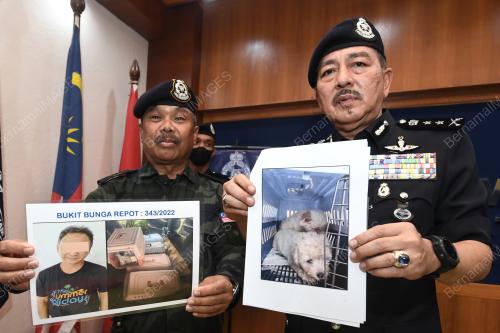 DATUK MUHAMAD ZAKI HARUN