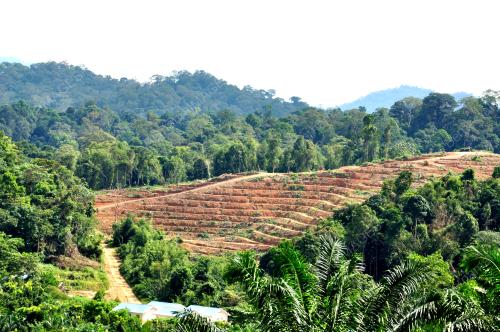 KB08_04122014_TAMAN_NEGARA