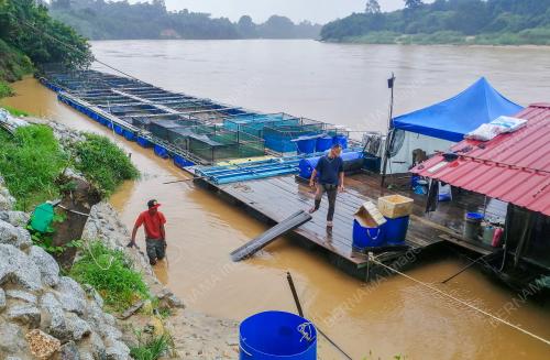 TINJAUAN MUSIM TENGKUJUH