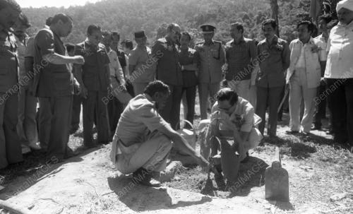 KB08_09032015_RASMI_HUTAN
