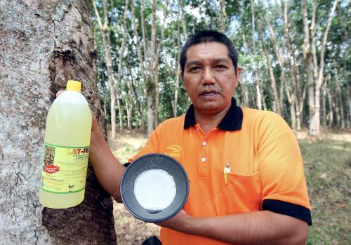 LATEPI YAACOB