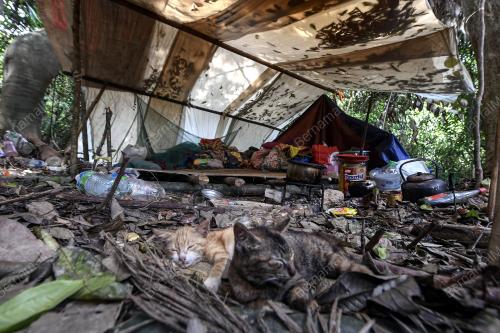 KB08_11062019_ORANG_ASLI