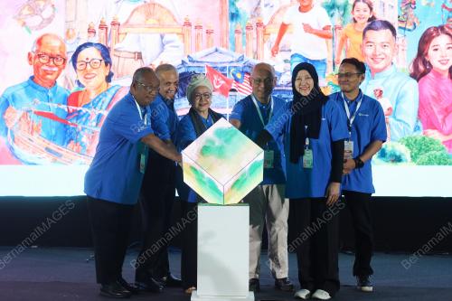 DATUK NIK AMLIZAN MOHAMED