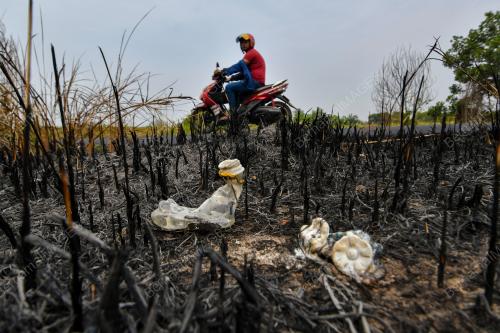 KEBAKARAN HUTAN