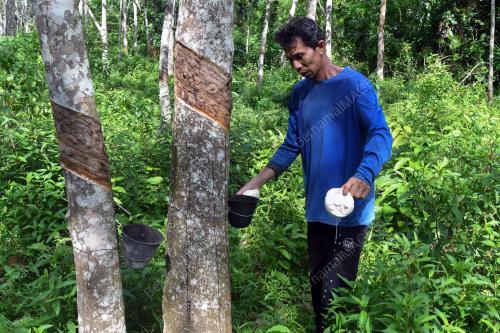 TINJAUAN CUACA SEMASA