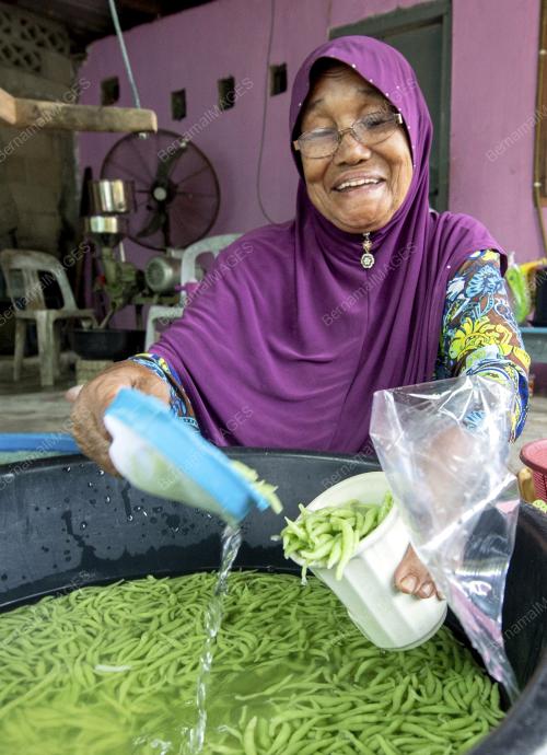 CENDOL GEDIK