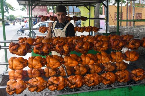 PENIAGA AYAM PUSING