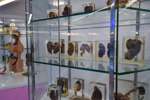 GALERI SPICES USM