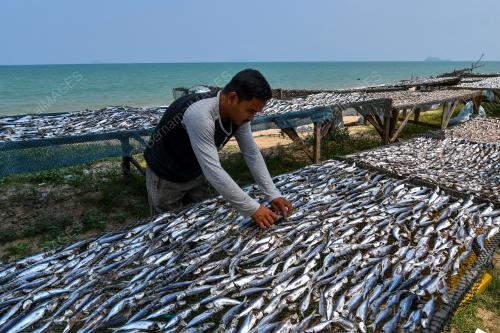 PENGUSAHA IKAN KERING