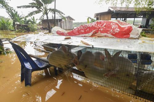 BANJIR KELANTAN