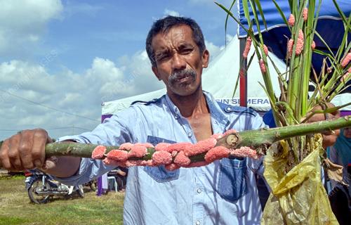 KB08_21072010_SIPUT