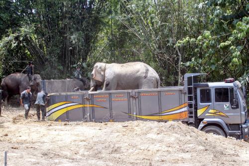KB08_26042016_PINDAH_GAJAH