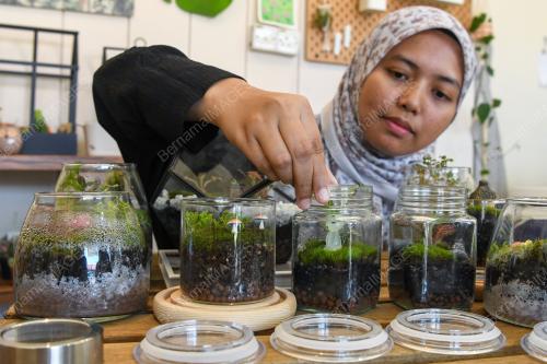 TERRARIUM HIASAN