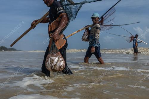 OMBAK MENGILA, IKAN BELANAK MENANTI : PERJUANGAN NELAYAN BACHOK