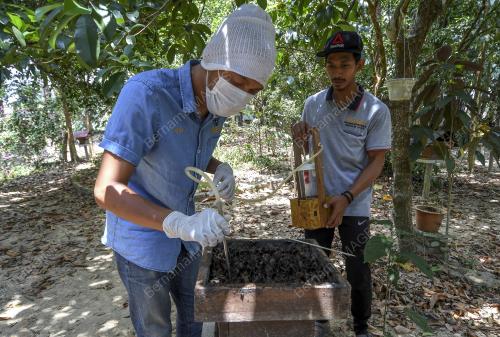 KB09_02042019_KELULUT
