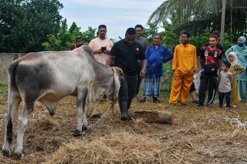 MAJLIS IBADAH KORBAN HARI RAYA AIDILADHA