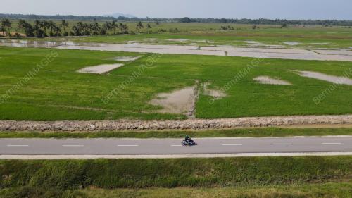 LADANG MERDEKA JELOR KADA