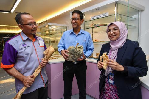 PROF DATUK IR DR ABDUL RAHMAN MOHAMED