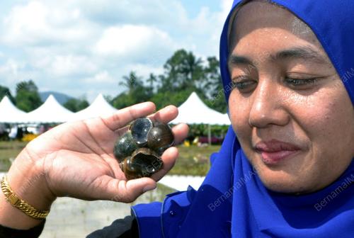 KB09_18112019_SIPUT_BN201911178000