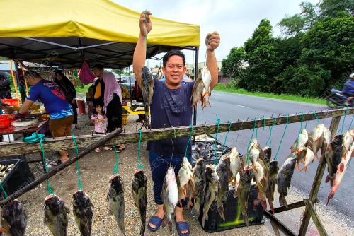 IKAN DARAT