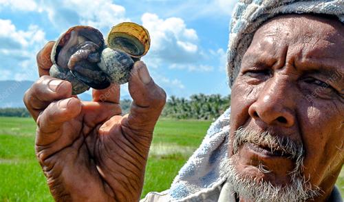 KB09_22072010_SIPUT