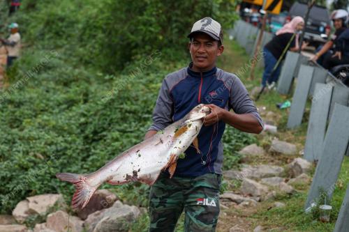 PEMANCING IKAN PATIN