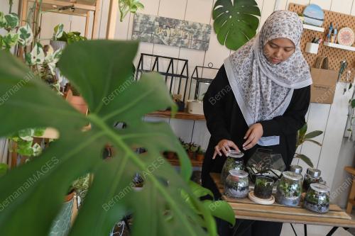 TERRARIUM HIASAN