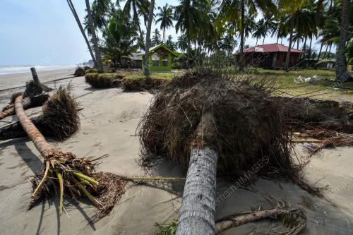 HAKISAN PANTAI