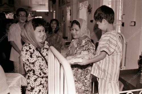 Tengku Anis bte Tengku Abdul Hamid (raja perempuan ktan)