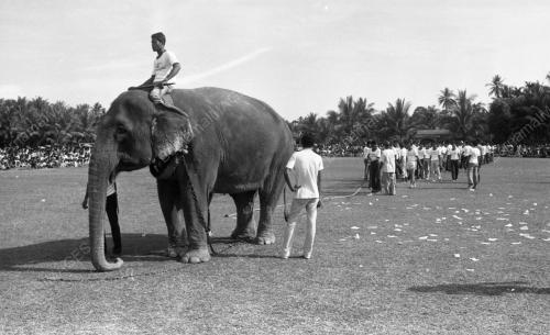 KB10_02072015_TARIK_GAJAH