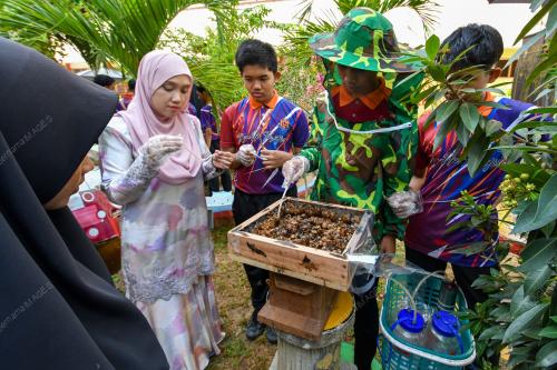 MADU KELULUT