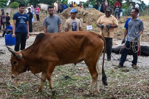 MAJLIS IBADAH KORBAN HARI RAYA AIDILADHA