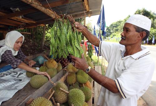 KAMARUDDIN MOHAMAD