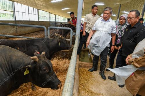 DATUK SERI MOHAMAD SABU