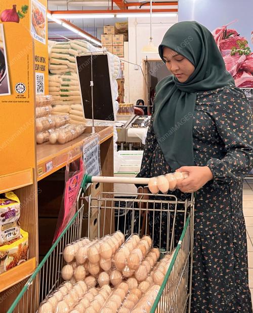 BEKALAN TELUR AYAM