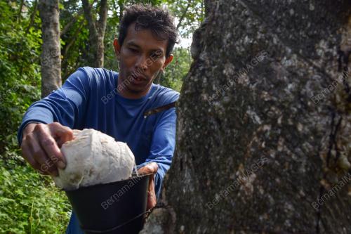 TINJAUAN CUACA SEMASA