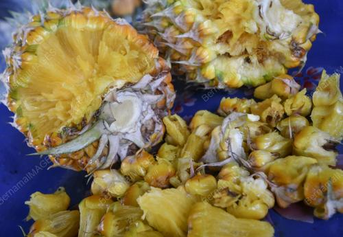 NANAS COBEK