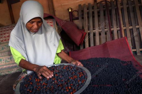 BUAH KERANJI