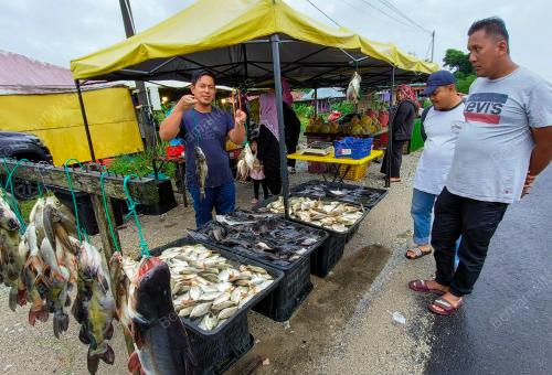 IKAN DARAT
