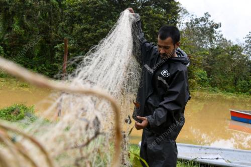 TINJAUAN MUSIM TENGKUJUH