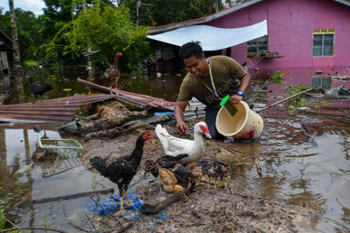 TINJAUAN BANJIR DI RANTAU PANJANG