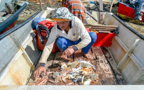 NELAYAN TRADISIONAL LEGA