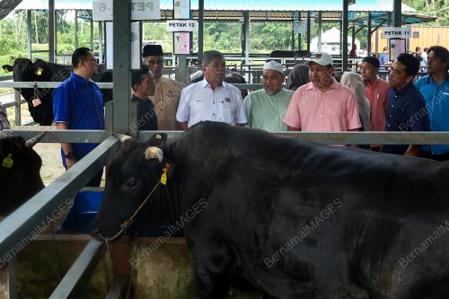 DATUK SERI MOHAMAD SABU