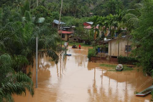 BANJIR DI KAMPUNG LIMAU KASTURI